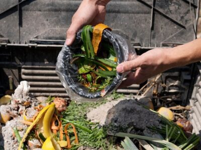 6 Types of Foods That Are Safe to Go Down a Garbage Disposal Foods