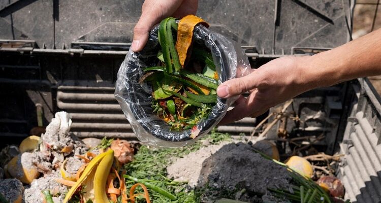 6 Types of Foods That Are Safe to Go Down a Garbage Disposal Foods