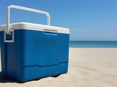 Cooler for Fishing Trip